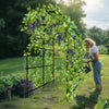 88 Inch Tall Garden Arch Trellis for Climbing Plants Sturdy Iron Rose Vegetable