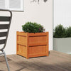 Camerina Garden Planter Wax Brown 50x50x50 Solid Wood Pine,Garden L1P3