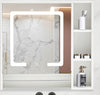 Tavion Bathroom Mirror Cabinet w/ shelves with Lights [1 Door+3 Shelves] 27-2-20