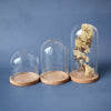20pcs Glass Dome Display Bell Jar Cloche Wood Base Figure Action Storage Display