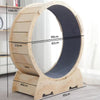 Cat Exercise Wheel Large Cat Treadmill Wheel for Indoor Cats Easy Assembled