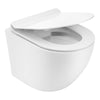D-Shape Compact Short Projection Rimless Wall Hung Toilet Pan + Soft Close Seat