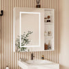 LED Bathroom Mirror Cabinet with Demister LED Lights Extra Large Storage Cabinet