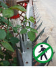 10x Anti-Climb Wall/Fence Spikes(1.2m) Anti theft spikes Home Security UK