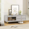 120cm TV Console Cabinet Entertainment Center with Compartment