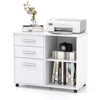 3-Drawer File Cabinet Mobile Lateral Filing Cabinet Printer Stand w/5 Wheels