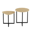 Modern Nesting Coffee Table Set Of 2 For Living Room, Wooden Coffee Table End