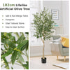 182cm Tall Faux Olive Plants Potted Olive Silk Tree