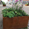 Large Planter Rectangle Rustic Steel Raised Flower Bed Tree Landscape Gardening