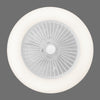 LED Ceiling Fan Light Dimmable Living Room Chandelier Lamp With Remote Control