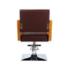 Salon Barber Chair 360° Swivel Seat with Footrest Tattoo Hairdressing Chair NEW
