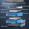 Automatic Digital Incubator 192 Eggs Chicken Poultry Hatcher Temperature Control