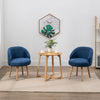 Set of 2 Accent Tub Chairs Occasional Lounge Sofa for Living Room Bedroom Blue