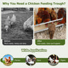 Heavy-Duty Galvanized Steel Chicken Feeding Trough Metal Chicken Feeder
