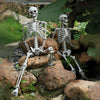 3/5ft Posable Halloween Hanging Human Skeleton Haunted House Party Prop Spooky