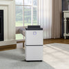 Dehumidifier for Home 12L Mould and Moisture Damp Mould Quiet 36dB with Timer