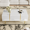 Modern High-gloss Coffee Table with 2 drawer for Living Room, White