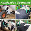 Cattle Lifting Clamp Device Cow Postpartum Stand Assist Cow Hip Lifter Assistant