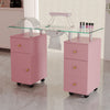 Manicure Nail Table Nail Beauty Technician Desk Art Workstation + Dust Collector