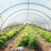 Greenhouse Polythene Plastic Cover UV5 Clear Poly Film 10m x 4m for Horticulture