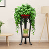 Plant Stand 2 Tier Flower Pot Holder Garden Herb Planter Display Rack Iron Shelf