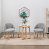 Set of 2 Accent Tub Chairs Occasional Lounge Sofa Chair for Living Room Bedroom