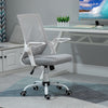 Mesh Home Office Chair Swivel Task Computer Desk Chair w/ Lumbar Support, Grey