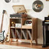 Large record stand with storage, record player stand with shelf, vinyl record ho