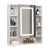 LED Bathroom Mirror Cabinet 3 Color Dimmable Light with Storage Shelves 72x80cm