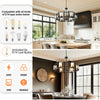 Black Chandeliers Dining Room Light Fixtures 6-Lights Pendant Light Hotel 3000K