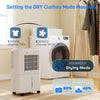 12L/Day Small Dehumidifier for Home Damp, with Humidity Light