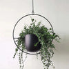 Metal Hanging Planter Basket Wall Ceiling Plant Flower Pot Holder Office Decor
