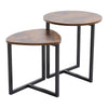 Farmhouse Style Nesting Coffee Table Living Room Sofa Side End Nested Table 2/3x
