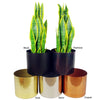 Metal Planter Stand Gold Iridescent Rainbow Plant Pot 62cm x 18cm Leaf Design UK