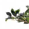 NEW! Artificial Ficus Tree Plant 120cm Indoor Outdoor Garden Decoration