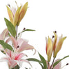 Artificial Pink Lily Tree Lamp in Black Pot Faux Flower Plant HomeOffice Outdoor
