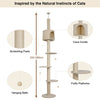 Floor to Ceiling Cat Tree Tower Climbing Activity Center Scratching Post Condo