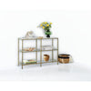 Glass Console Table with Metal Frame Entryway Cabinet