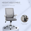 Mesh Home Office Chair Swivel Task Computer Desk Chair w/ Lumbar Support, Grey