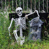 160CM Life Size Human Skeleton Bone Posable Halloween Haunted House Horror Decor