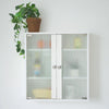 Double Glass Doors Wall Cabinet Storage Cupboard Hanging Organizer Shelves Shelf