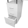 Professional Manicure Table Nail Technician Beauty Salon Station Storage Desk