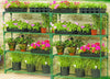 2x Greenhouse 4 Tiers Staging Shed Garage Storage Steel Shelving Shelves Racking