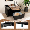 Cat Litter Box Enclosure Indoor Cat House Side Cabinet Nightstand w/Drawer
