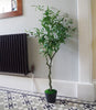 Olive Tree Artificial Large 120cm Natural Style with Olives
