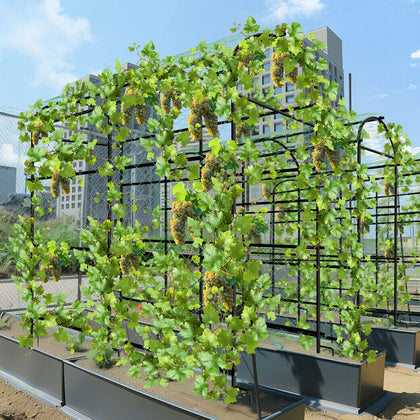 220cm Tall Garden Trellis Cucumber Climbing Plant Support Stand w/ Ground Spikes