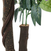 Artificial Realistic Purple Wisteria Tree in Pot Plant for Outdoor Décor, 160cm
