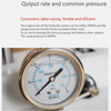 Hydraulic Dental Press Machine Denture Flask Pressure Laboratory Equipment