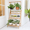 3Tier Bamboo Plant Stand Ladder Garden Rack Folding Display Hanging Shelf