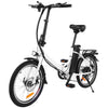 20" Folding Electric Bike E-Bike, 36V, 10Ah, 250W Motor, City EBIKE Bicycle